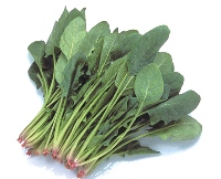 食补胜药补，13种食物让你聪明