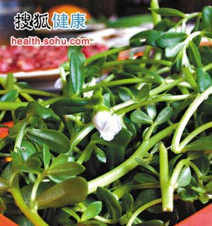 老祖宗留下的长寿菜(组图)