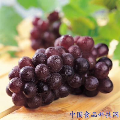 滋补中国女人的13种养生食物