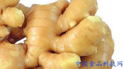 <br><br>　　姜