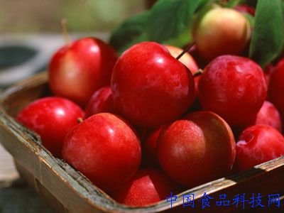 滋补中国女人的13种养生食物