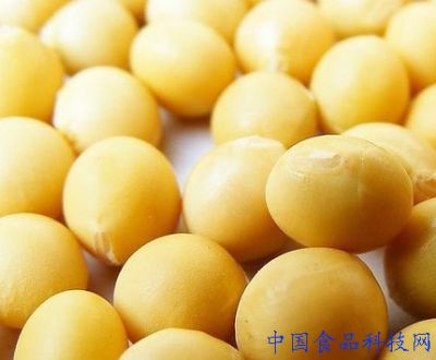滋补中国女人的13种养生食物