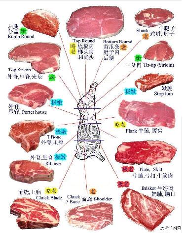 去除头屑应多吃牛肉！