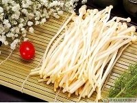 哪些菌类食物最适合孩子吃？