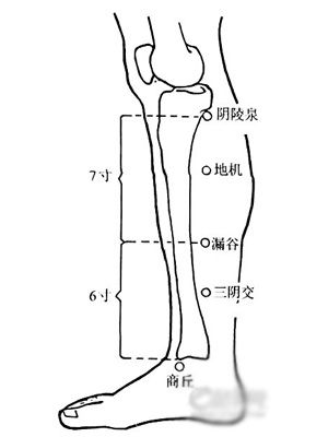 合谷穴治晕厥 中医6大救命穴