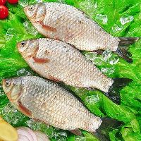 吃鱼要忌口 看这8种鱼忌哪些食物？