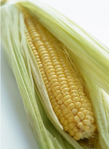 秋季养生指南：玉米可防老年人眼睛老化