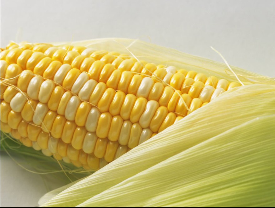 玉米含有7种“抗衰剂”