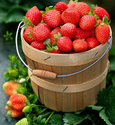 常吃这10种食物不爱生病