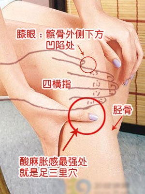 养生堂：中医灸“足三里”能长寿