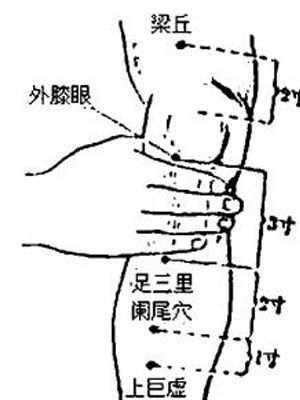 灸“足三里”的意义