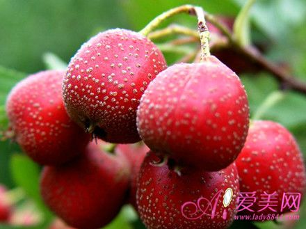  长寿果山楂的妙用 冻疮感冒痛经都能治 