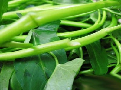 中医最爱的9种养生食物 莲藕能补血抗癌