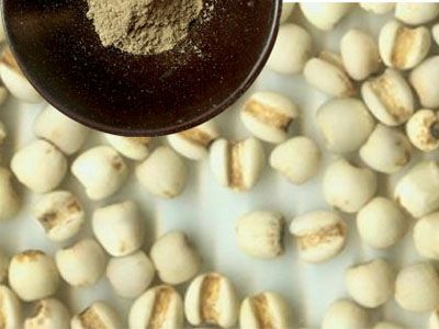 中医最爱的9种养生食物 莲藕能补血抗癌