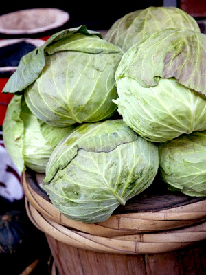 常吃卷心菜杀菌消炎可补钙