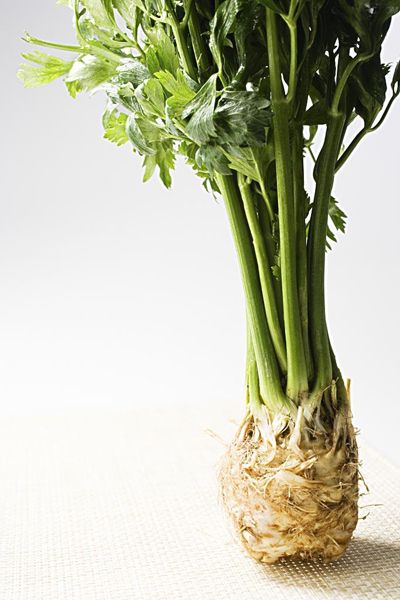 帮你赶走“大黄牙”的十种食物