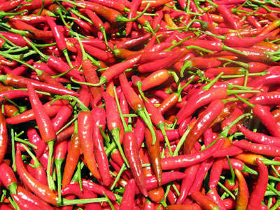 红辣椒对人体有着各种神奇的作用