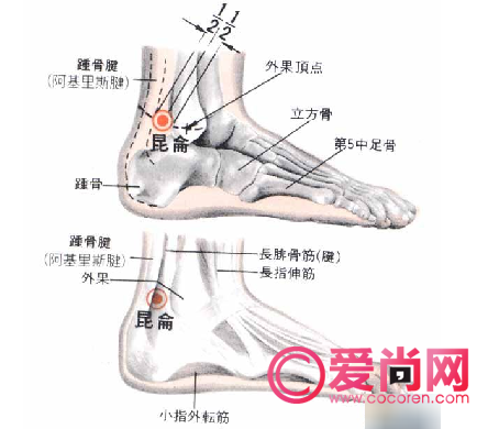 百科全说家庭常备急救点穴法 巧治常见病痛