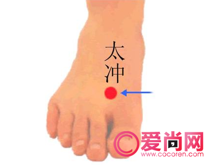 百科全说家庭常备急救点穴法 巧治常见病痛