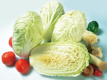 三种“白菜”PK 颜色越深营养越丰富