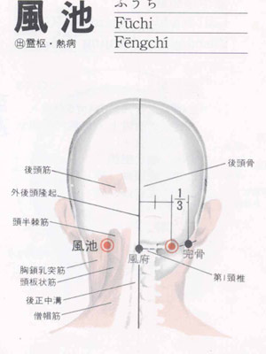 中医教你回春三池穴