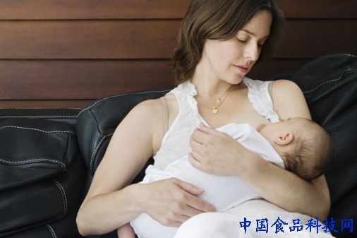 哺乳
