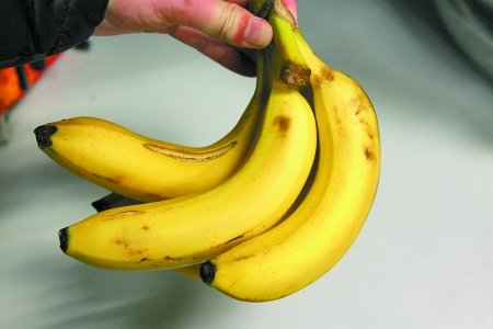 网传吃香蕉通便芭蕉便秘 专家否定称营养一样