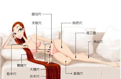 　经络图