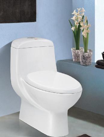 厕所“臭一点”可防癌 坐马桶一定要短平快