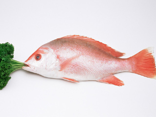 怎样吃鱼少“中毒”？ 吃鱼十问
