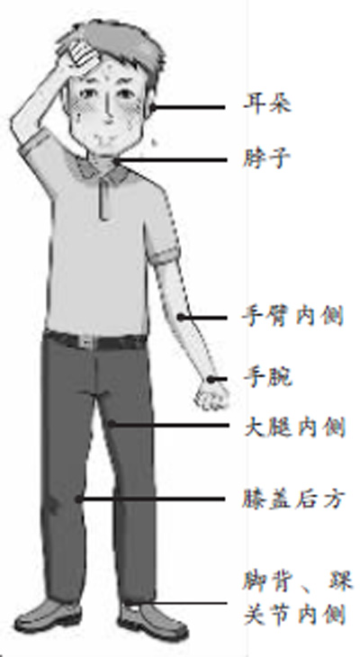 脖子、手腕是最佳降温点 用凉水冲能驱热避暑(图)