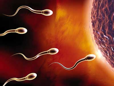 男人自查精液排除疾病 最伤害精子的4大行为