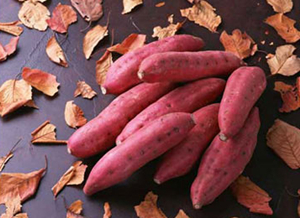 养生:红薯防止肝脏萎缩 10种天然