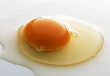 鸡蛋黄千万不要浪费 每日一个蛋黄胆固醇不超标